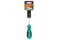 Отвертка TORX TT10H*75мм, с отверстием, CrV магнитный наконечник  Sturm