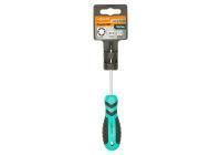 Отвертка TORX T10*75мм, CrV, магнитныйнаконечник  Sturm