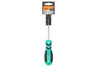 Отвертка TORX T25*100мм, CrV, магнитныйнаконечник  Sturm