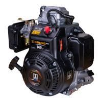 Двигатель Dinking DK165F/P 