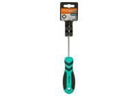 Отвертка TORX TT25H*100мм, с отверстием, CrV магнитный наконечник  Sturm