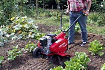 Бензиновые культиваторы