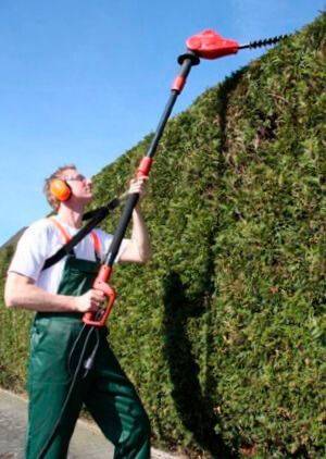 Электрокусторез с штангой