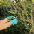 Нож садовый складной, прямое лезвие, 173 мм, деревянная рукоятка, Palisad-Tehinstrument