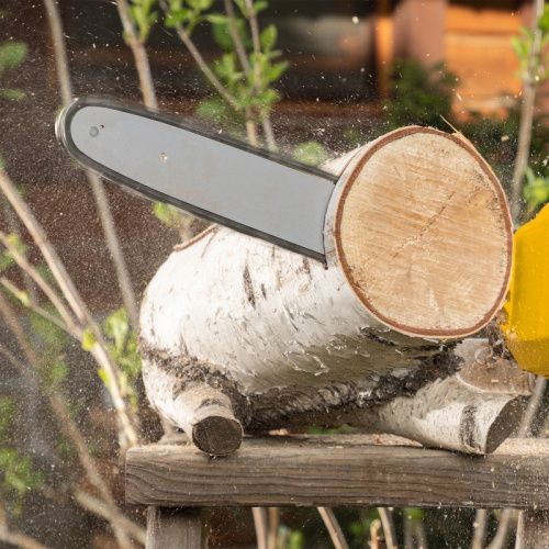 Цепная пила аккумуляторная бесщеточная Denzel RCS400-36-Tehinstrument