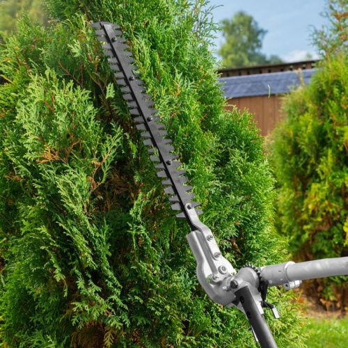 Триммер бензиновый мультифункциональный Denzel DGT-52S-MAX-Tehinstrument