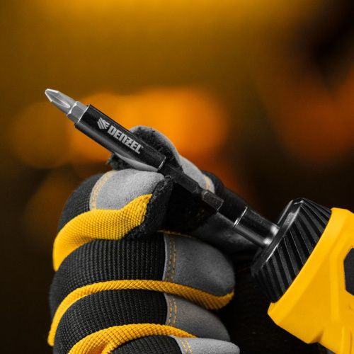 Набор бит с магнитным держателем Denzel S2, 8 шт -Tehinstrument