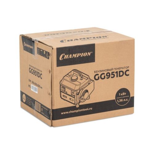 Бензиновый генератор CHAMPION GG951DC-Tehinstrument