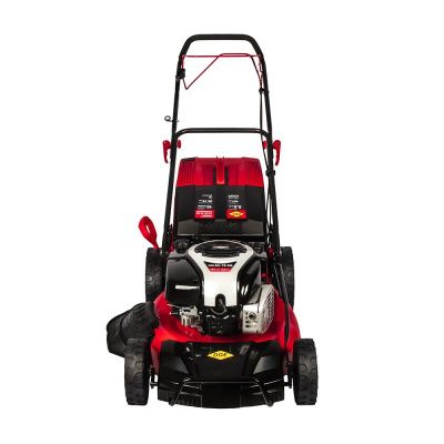 Газонокосилка бензиновая DDE LM 53-75 DB-Tehinstrument