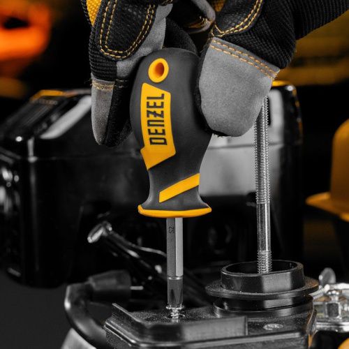 Набор инструментов 100 предметов Denzel, пластиковый кейс-Tehinstrument