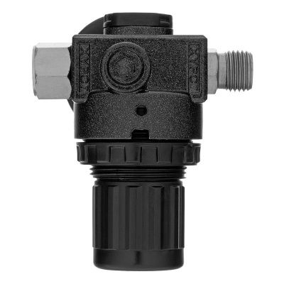 Регулятор давления с манометром R1500, 12 бар, 1/4" Denzel-Tehinstrument