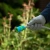 Соединитель пластмассовый, быстросъемный для шланга 1/2, аквастоп, однокомпонентный Palisad Luxe-Tehinstrument Соединитель пластмассовый, быстросъемный для шланга 1/2, аквастоп, однокомпонентный Palisad Luxe-Tehinstrument