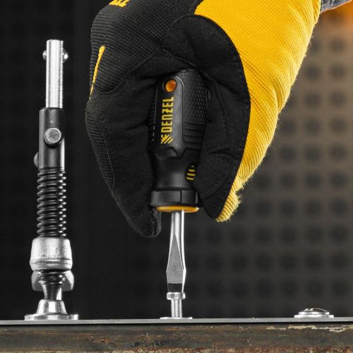 Набор отверток на полке, 8 шт., PH+SL, S2, 3к рукоятка Denzel-Tehinstrument