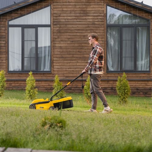 Газонокосилка электрическая Denzel GMC-1200-Tehinstrument