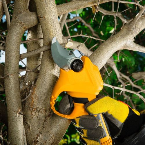 Секатор аккумуляторный Denzel CP-30-Tehinstrument