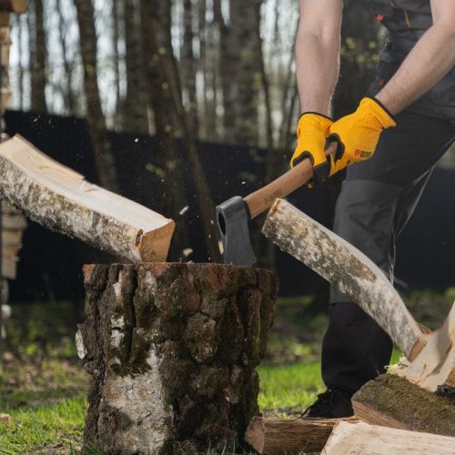 Топор кованый, 900 г, американский тип, буковая рукоятка, 430мм, EFP Denzel-Tehinstrument