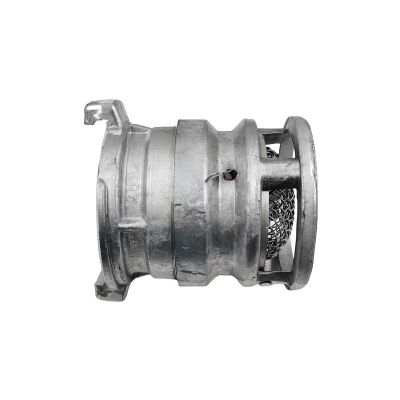 Фильтр заборный DDE с обратным клапаном СВ-100-Tehinstrument