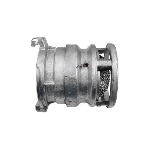 Фильтр заборный DDE с обратным клапаном СВ-100-Tehinstrument