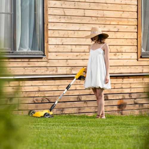 Портативная аккумуляторная газонокосилка Denzel CLM-22-Tehinstrument