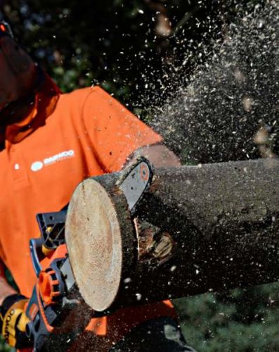 Электрическая цепная пила DAEWOO DACS 2700E (электропила ДЭУ 2700Е)-Tehinstrument