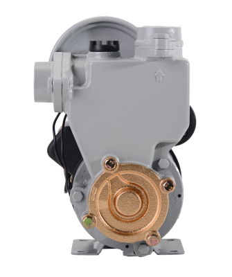 Автоматическая насосная станция АНС-2100Ч/2 Ресанта-Tehinstrument