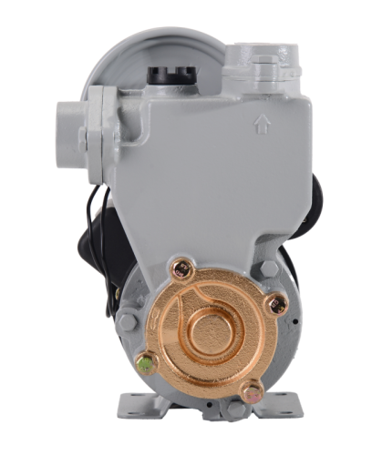 Автоматическая насосная станция АНС-2100Ч/2 Ресанта-Tehinstrument