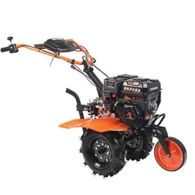 PicZip q60 (23:52:00 31.10.2018 0%  27752>>>27752)