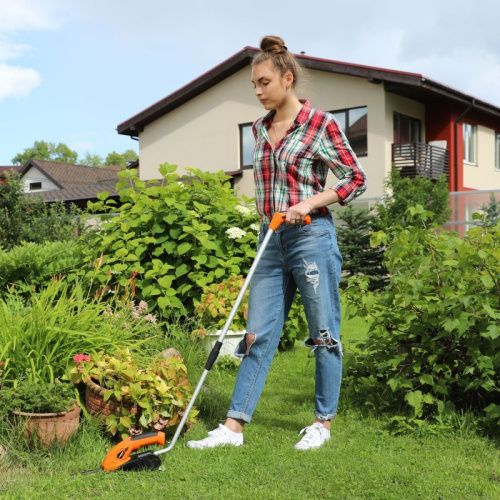 Ножницы-кусторез аккумуляторные Patriot CSH 361 с удлиненной ручкой-Tehinstrument