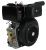 Двигатель Lifan Diesel C1100FD D25-Tehinstrument