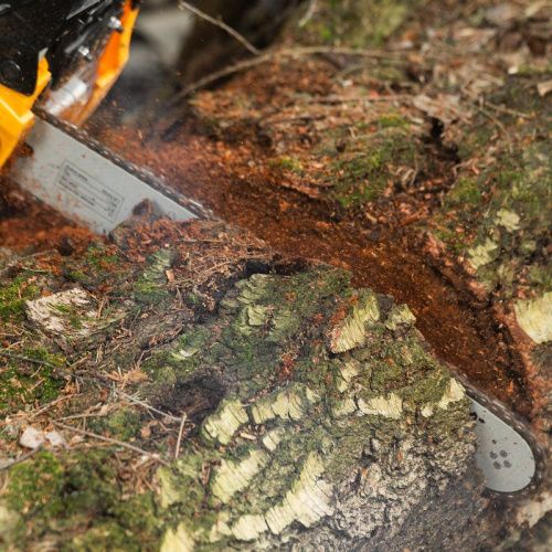 Пила цепная бензиновая Denzel DGS-4516-Tehinstrument