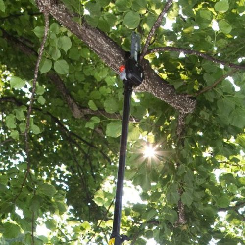 Бензиновый высоторез ECHO PPT-236ES (высоторез Эхо PPT-236ES)-Tehinstrument