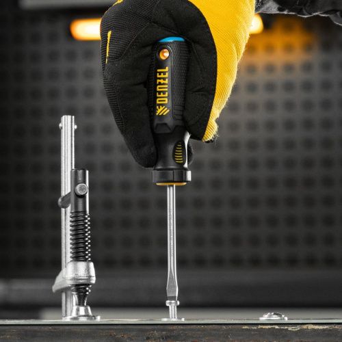 Набор отверток, 5 шт., PH+SL, S2, 3к рукоятка Denzel-Tehinstrument