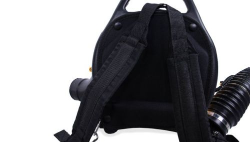 Бензиновая воздуходувка CHAMPION GBR333-Tehinstrument