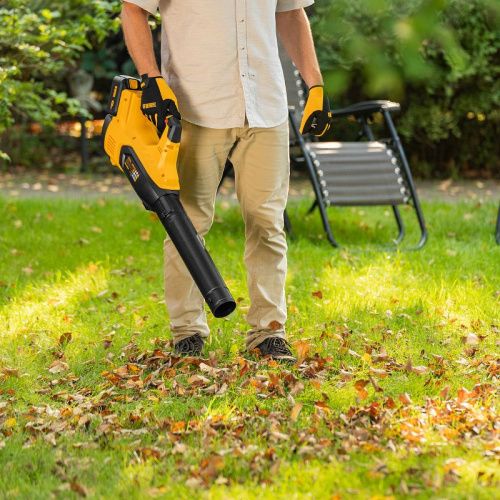 Воздуходувка аккумуляторная Denzel RB180-36-Tehinstrument