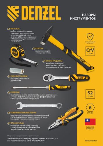 Набор инструментов 100 предметов Denzel, пластиковый кейс-Tehinstrument