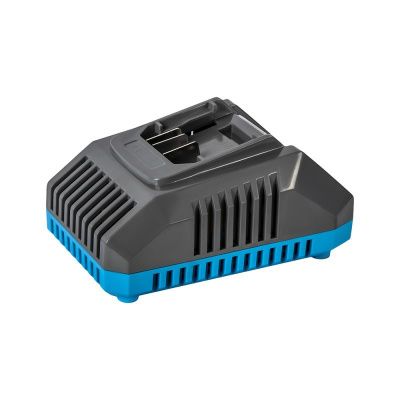 Зарядное устройство DDE  BlueTech BC 2-40-Tehinstrument