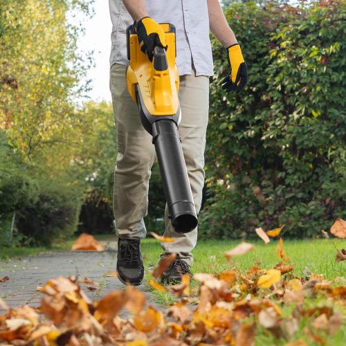 Воздуходувка аккумуляторная Denzel RB180-36-Tehinstrument