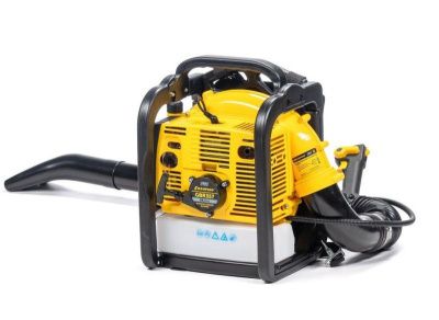 Бензиновая воздуходувка CHAMPION GBR357-Tehinstrument