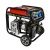 Генератор бензиновый DDE DPG10553E-Tehinstrument