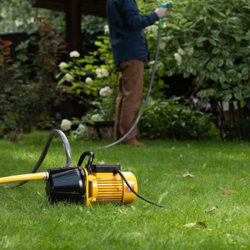 Садовый поверхностный насос Denzel GP1100C-Tehinstrument