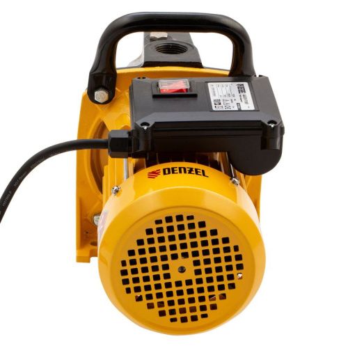 Садовый поверхностный насос Denzel GP1100C-Tehinstrument