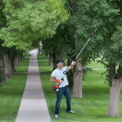 Бензиновый высоторез ECHO PPT-236ES (высоторез Эхо PPT-236ES)-Tehinstrument