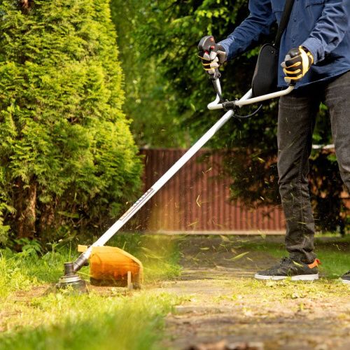 Триммер бензиновый Denzel DTL-43-Tehinstrument