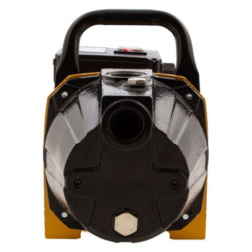 Садовый поверхностный насос Denzel GP1100C-Tehinstrument