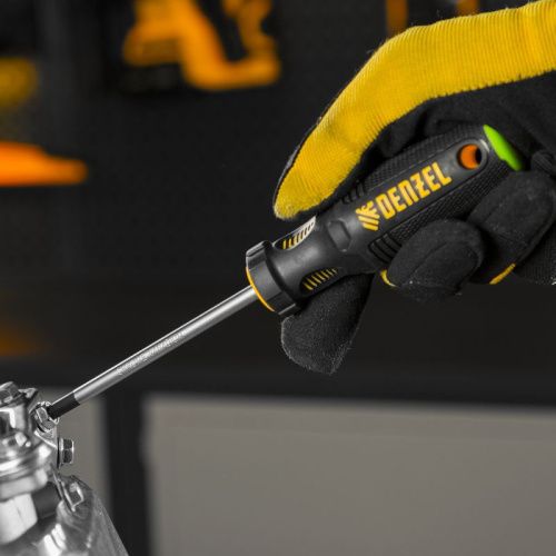 Отвертка Denzel PZ2x100 мм-Tehinstrument